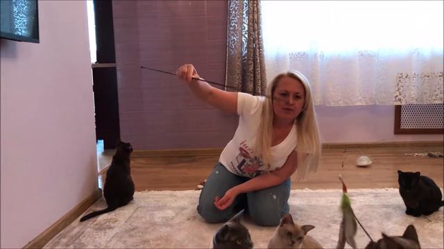 О питомнике Бурма Алдис смотреть онлайн