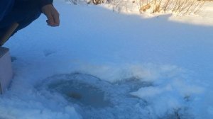 Хариус на мормышку. Зимняя рыбалка на малых реках