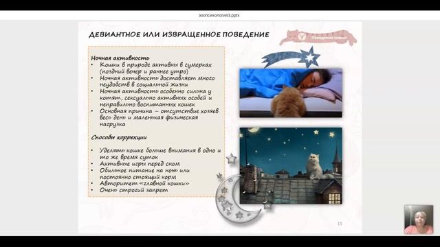 Девиантное поведение кошки. Проблемы размещения лотка для кошек. Светлана Пономарева