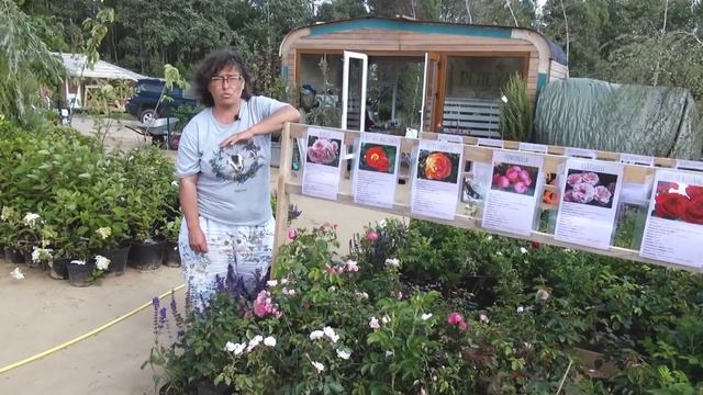 Садовый Центр "Репейник" без розовых очков. смотреть онлайн