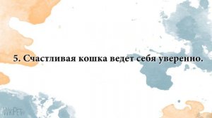 10 признаков счастливого кота
