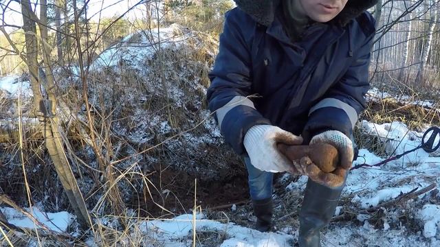 МЕТАЛЛОЛОМ В ЛЕСУ!ТРУДНЫЙ ЗАРАБОТОК смотреть онлайн