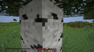 НУБ НЕВИДИМКА ПРОТИВ НУБА В МАЙНКРАФТ ! ТРОЛЛИНГ НУБИКА В MINECRAFT Мультик