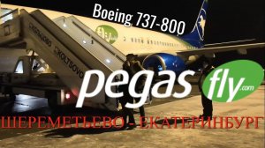 Pegas Fly Рейс Шереметьево - Екатеринбург на Boeing 737-800. Интервью