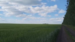 Пензенская область деревня Березовка