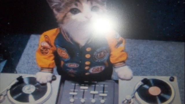 PIRY Samba on Fire смотреть онлайн