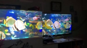 Проектор xgimi z6 в сравнении с телевизором LG