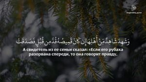 АбдуРрахман Ар-Рушуд | сура 12 «Йусуф» (Иосиф), аяты 19-35