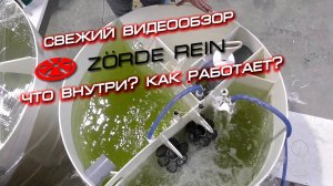 Видеообзор Zorde Rein