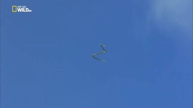 Летающая змея смотреть онлайн