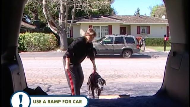 How to Care for a Dog with Degenerative Myelopathy