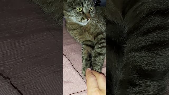 любовь смотреть онлайн