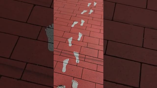 Там на неведомых дорожках... смотреть онлайн