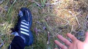 ЛАЙФХАК : СТРОИМ ДОМ В ЛЕСУ! |VLOG| HD