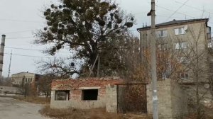 Изюм 2017 - 2021