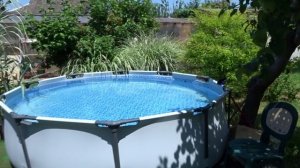 МОЙ САД. КОНЕЦ ИЮНЯ - ДНИ ЛЮБОВАНИЯ ЛИЛЕЙНИКАМИ.