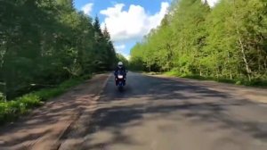 Honda CBR 600 и Kawasaki zzr 400