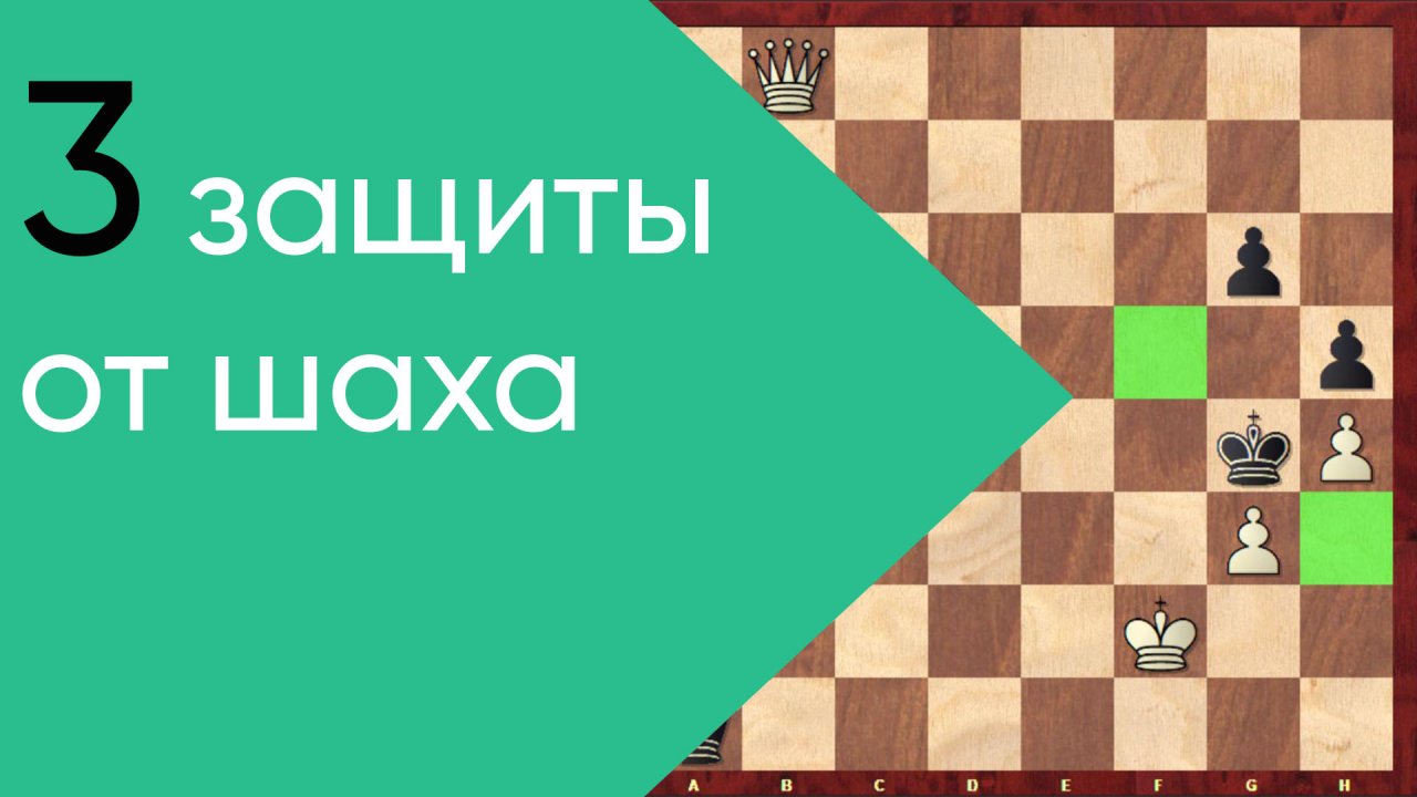 Три шахи. Способы защиты от шаха. Шах в шахматах. Три варианта защиты от шаха. Защита от шаха задачи.