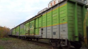 Тепловоз ЧМЭ3Э-6228 с 5-ю крытыми грузовыми вагонами