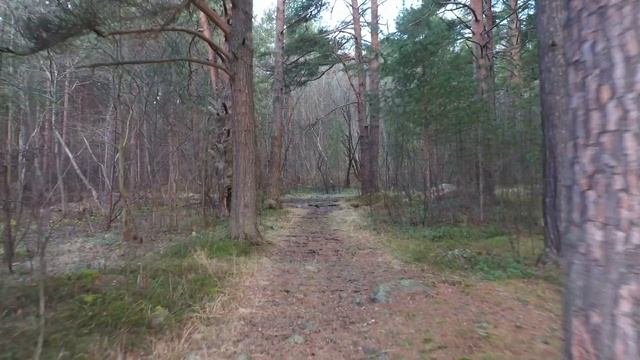 Петрозаводск-Заозерье