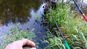 Красивое место на таежной речке ! Посидел с удочками , отдохнул !