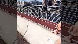 Без названия