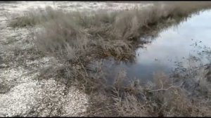 Соленая в солёное море. Река Соленая Какие реки впадают в Азовское море Набережное