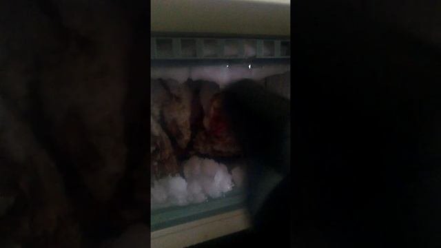 Разморозит мясо очень быстро
