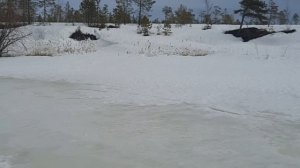 Весна,по последнему льду.Завершение зимнего сезона,подготовка к охоте.