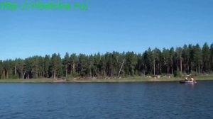 Женщины на рыбалке