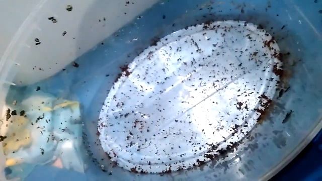 УБОРКА В КОНТЕЙНЕРЕ