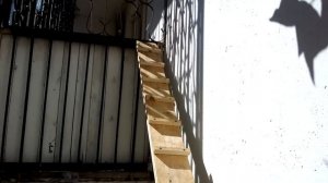 Лестница для кошки на балкон.