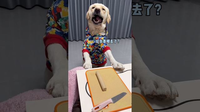 I am really not as good as you when it comes to being a dog. Fantastic animals. The c смотреть онлайн