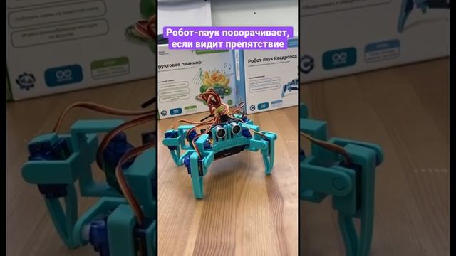 Программируемый Робот-паук Квадропод для детей / Enjoy Robotics