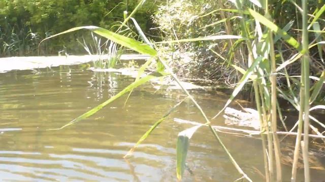 необитаемый остров Кирказон 23 июня 2020 смотреть онлайн