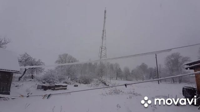 вот и новый год пришел.