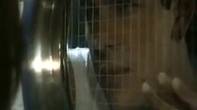 Очень грустные затрагивает прям душу(7) смотреть онлайн