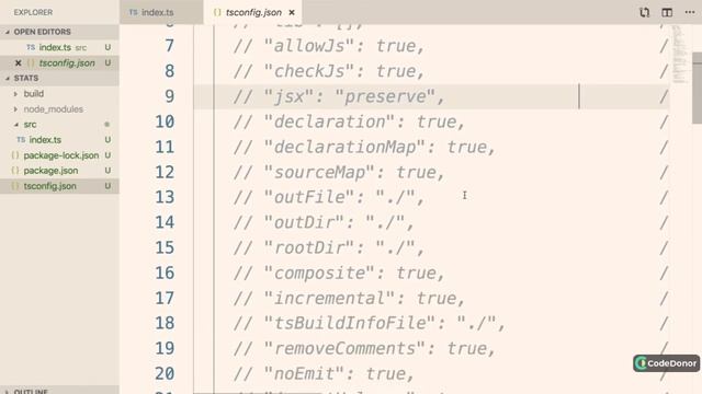 33. Project Setup in Typescript | Typescript #typescript #javascript #learning