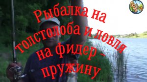 Рыбалка на толстолоба и ловля на фидер - пружину.