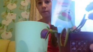 Пересадка Венериной Мухоловки. Процесс. Видео с бабушкой❤️
