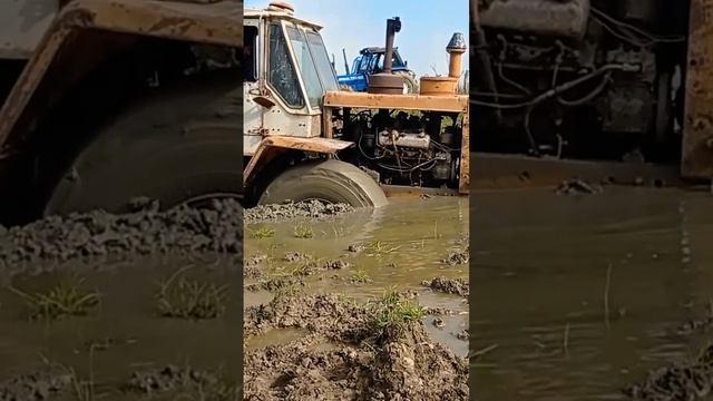 _трактор т-150 на болоте ------(720P_HD).mp4 смотреть онлайн