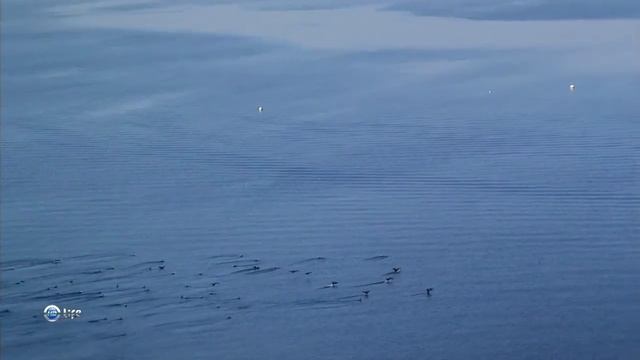 Милая Франция. Аквитания смотреть онлайн