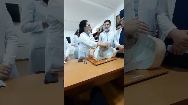 Определить позицию плода 2 часть. Хомила холатини аниклаш 2. Determine the position of the fetus.