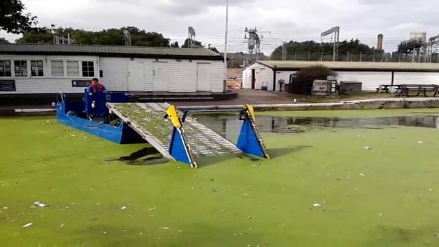 Duck weed removal on the Regent's Canal смотреть онлайн