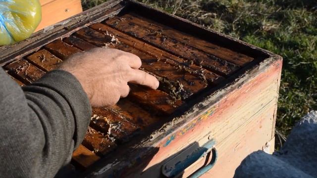 Подкормка пчел в январе. смотреть онлайн