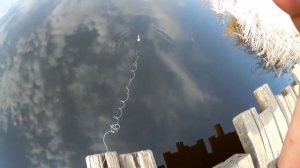 Рыбачить хапугой, получать удовольствие