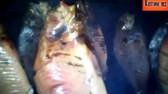 ?Как коптить карася холодным способом? рыба холодным способом копчения. смотреть онлайн