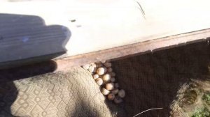 Самодельная картофелесортировка из подручных материалов