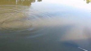 Рыбалка Тульская область