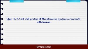 Streptococcus MCQ Questions